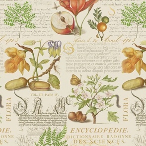 Botanical Treasures  By Joris Hoefnagel With Plants, Fruits And Calligraphy  Medium Scale