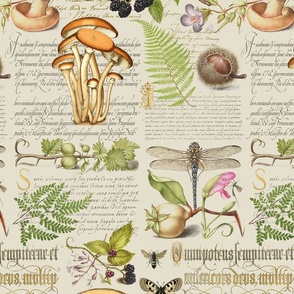 Botanical Treasures  By Joris Hoefnagel With Plants, Fruits And Calligraphy II Medium Scale