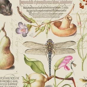 Botanical Treasures  By Joris Hoefnagel With Plants, Fruits And Calligraphy III Large Scale
