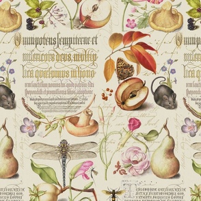 Botanical Treasures  By Joris Hoefnagel With Plants, Fruits And Calligraphy III Medium Scale