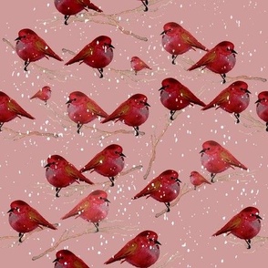 red birds on pink / medium