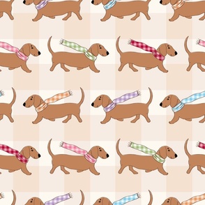 Dachshunds (sausage dogs) with colourful gingham scarves, neutral gingham background