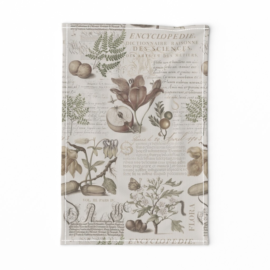 Botanical Treasures  By Joris Hoefnagel With Plants, Fruits And Calligraphy Neutral Medium Scale