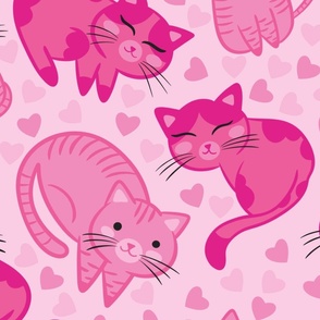 (L) Cute pink kittens