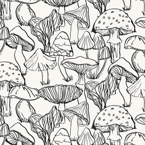 Forest mushrooms in black and white