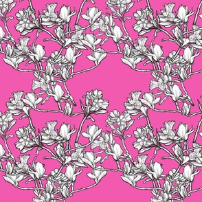 (medium) hand drawn magnolia flower trellis wallpaper pink white