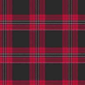 Winter-Wonderland-Plaid-Large-Red-Black-7-png