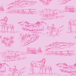 Valley Foal in Hot Pink, Cowgirl Western Toile Barbie