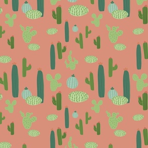 Cute Cacti in the Desert
