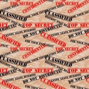 Top Secret File Folder (smaller pattern)