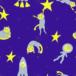 Cats in Space