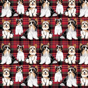 Biewer Terriers on red plaid 8 inch wide