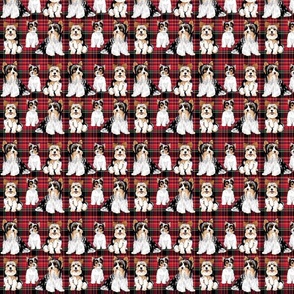 Biewer Terriers on red plaid 4 inch wide