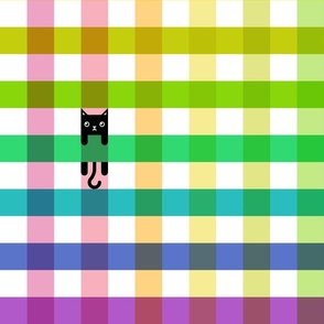 rainbow gingham and cats