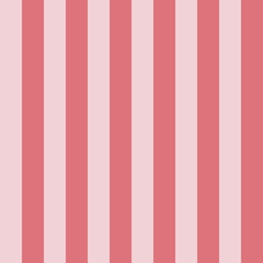 geometric blender noble vertical stripes red pink Watermelon