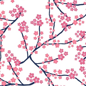 Cherry blossoms 