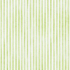 watercolor green stripe - lime color - botanical green stripe wallpaper