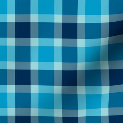 plaid blu