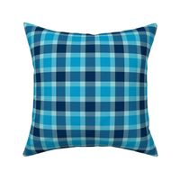 plaid blu