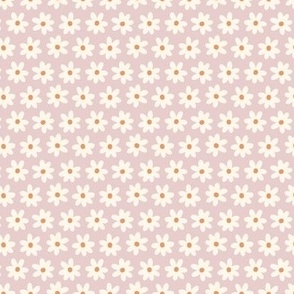 Sweet field of daisies - pink cream orange - Mini