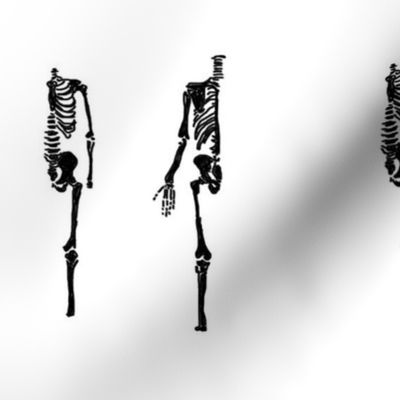 skeleton