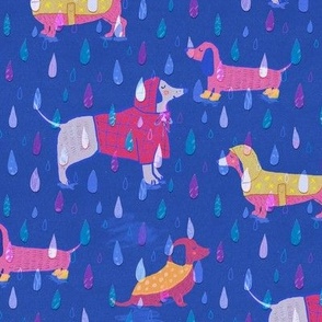 Dogs in Raincoats and Wellies - Rainbow Rain on Cobalt Blue