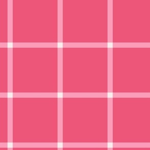Hot pink windowpane 3 inch square check - large scale for bedding and home decor