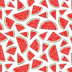 Watermelon Slices Pattern - Small Scale