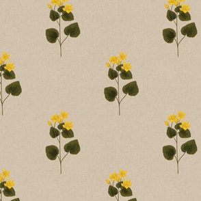 Marsh marigold warm minimalist rustic linen 