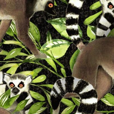 Night Jungle Lemurs