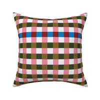 Funky Plaid Lad / Funky Plaid Stripes in Retro Green and Pink Colors with Red and Blue Pop