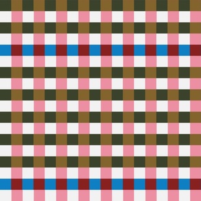 Funky Plaid Lad / Funky Plaid Stripes in Retro Green and Pink Colors with Red and Blue Pop