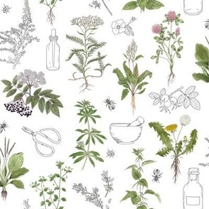 Small Scale - Healing Herbs 
