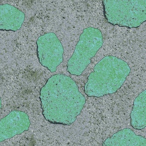 City Sidewalk Dinosaur Footprints