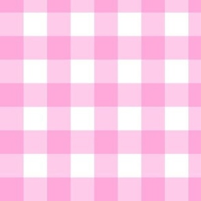 Bubblegum Pink Plaid 1”