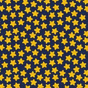Twinkling Stars010823