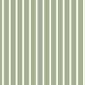 matcha green and white stripe