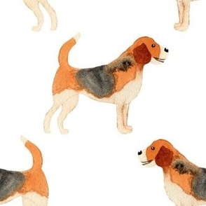 Medium Watercolour Beagle dogs on white