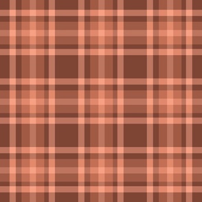 terracotta and brown earthy gingham plaid 