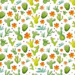 Small Scale Green Cactus Orange Flowers on White