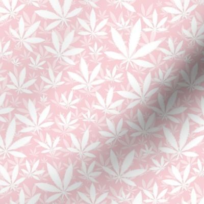 Smaller Scale Marijuana Cannabis Leaves White on Cotton Candy Pink