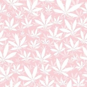 Smaller Scale Marijuana Cannabis Leaves White on Cotton Candy Pink