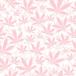 Bigger Scale Marijuana Cannabis Leaves Cotton Candy Pink on White
