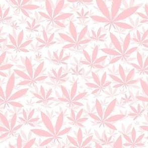 Smaller Scale Marijuana Cannabis Leaves Cotton Candy Pink on White