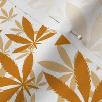 Bigger Scale Marijuana Cannabis Leaves Sunset Burnt Orange on White