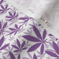 Smaller Scale Marijuana Cannabis Leaves Sunset Grape Purple on White