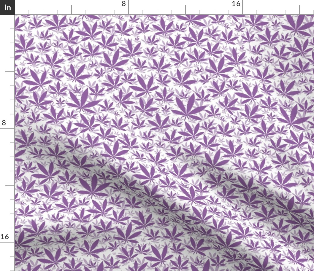 Smaller Scale Marijuana Cannabis Leaves Sunset Grape Purple on White