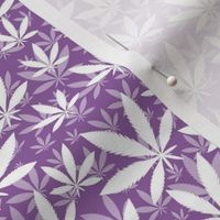 Smaller Scale Marijuana Cannabis Leaves Sunset White on Grape Purple