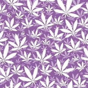 Smaller Scale Marijuana Cannabis Leaves Sunset White on Grape Purple