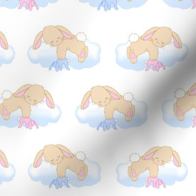 Bunny Rabbit Sleeping on Cloud Baby Girl Boy Nursery Small Size